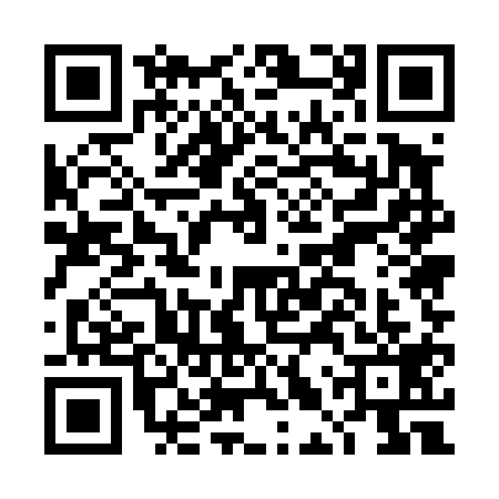 QR code for DLU4197