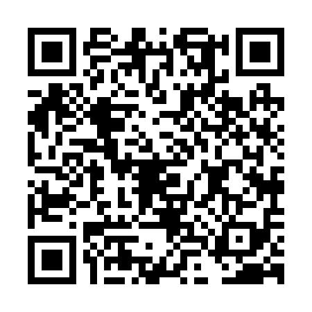 QR code for DLX2198