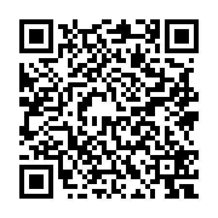 QR code for DLY5290