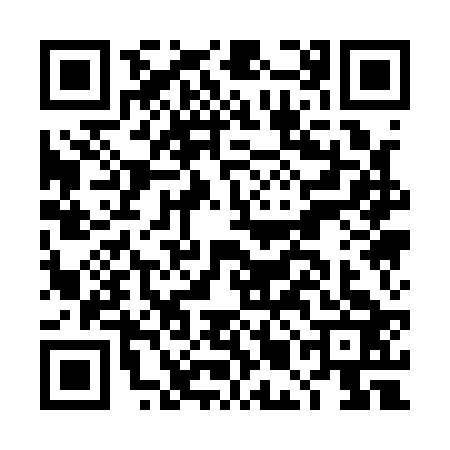 QR code for DMA1233