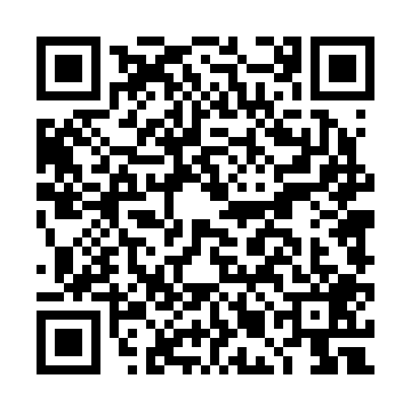 QR code for DMD2095
