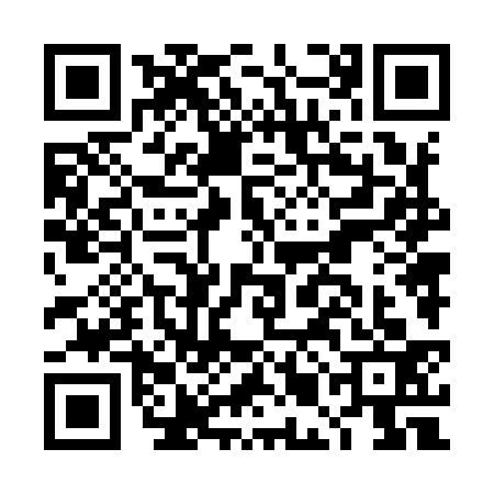 QR code for DMN9333