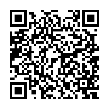 QR code for DMR0976