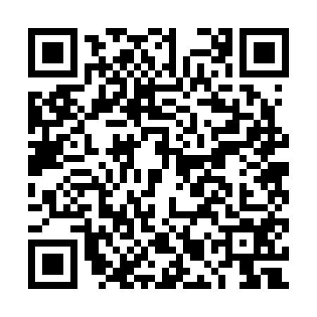 QR code for DMR2541