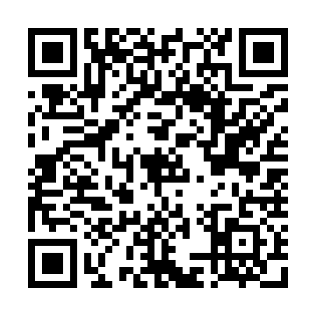 QR code for DMW9313