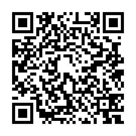 QR code for DNC0390