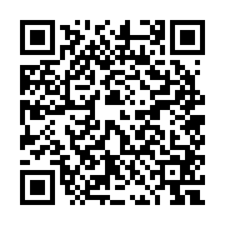 QR code for DNG2449
