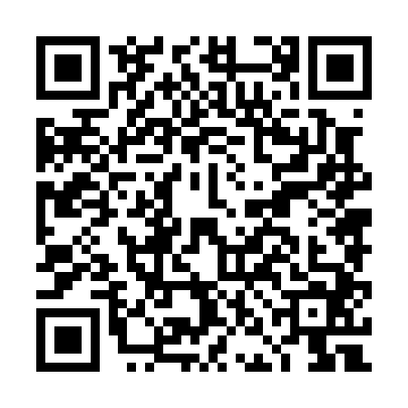 QR code for DNN0445