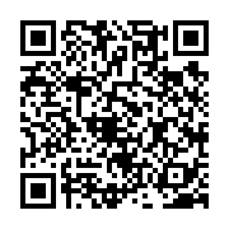 QR code for DOH6397