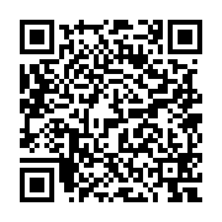 QR code for DOS5991
