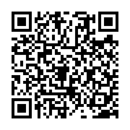 QR code for DOS6595