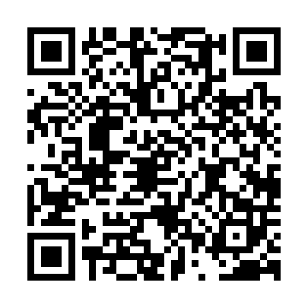 QR code for DPP3029