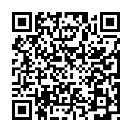 QR code for DPP3991