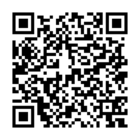 QR code for DPQ5311
