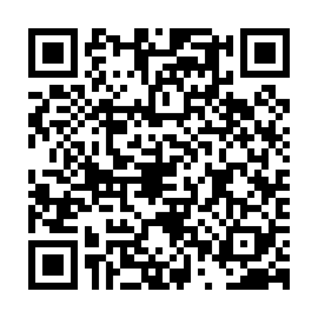 QR code for DPS0294