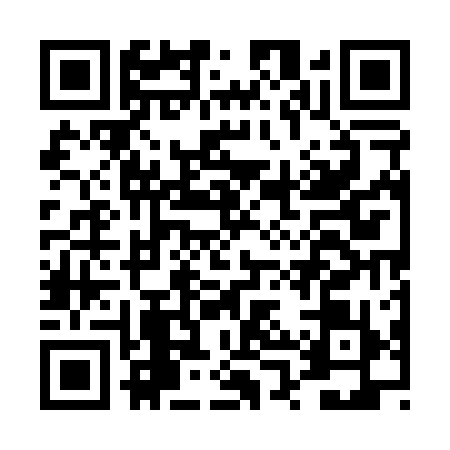QR code for DPU0196