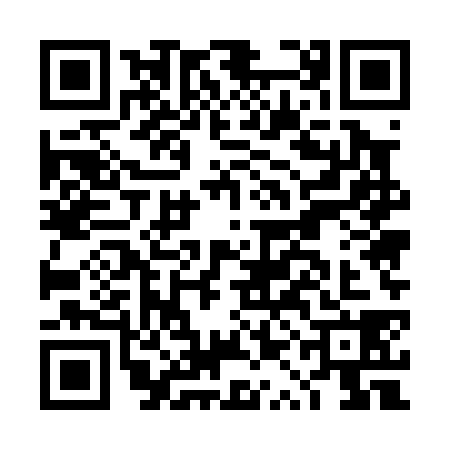 QR code for DQE0387