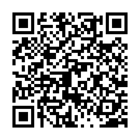 QR code for DQL0095