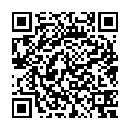 QR code for DQP2384