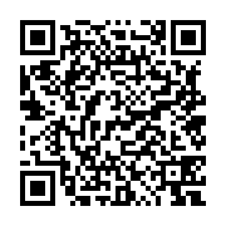 QR code for DQW8381