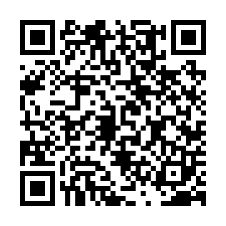QR code for DSF2033