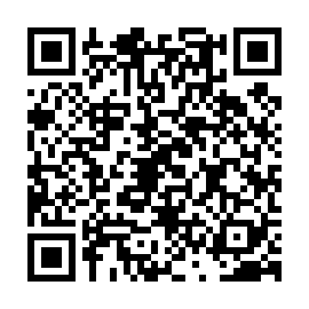 QR code for DSI4296