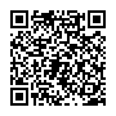 QR code for DSJ5291