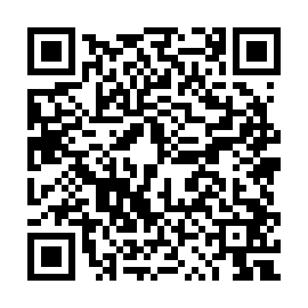 QR code for DSM2428