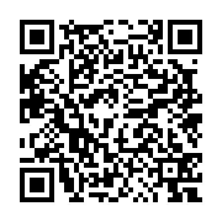 QR code for DSO0336