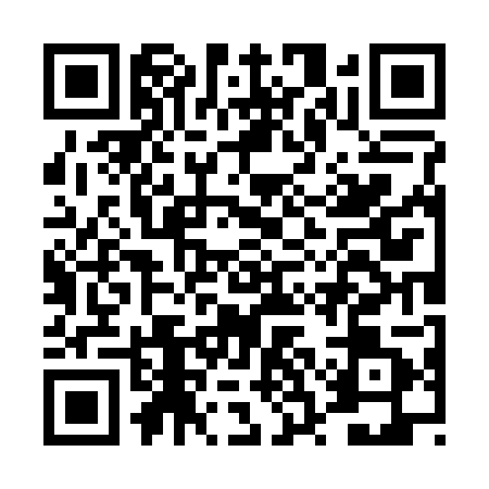 QR code for DSO2010