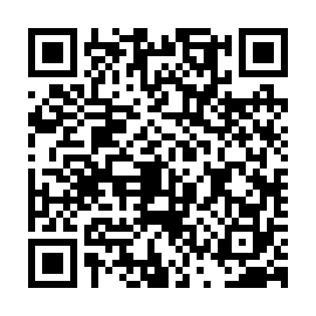 QR code for DSR2729
