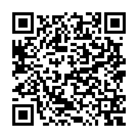 QR code for DSY0607