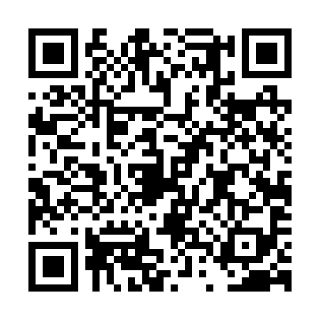 QR code for DTT2995