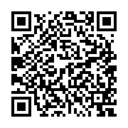 QR code for DUB2934
