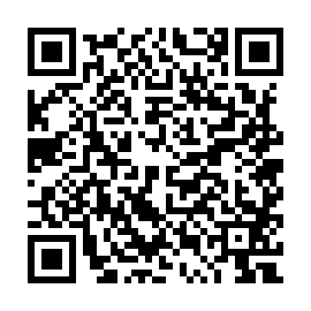 QR code for DUG9833