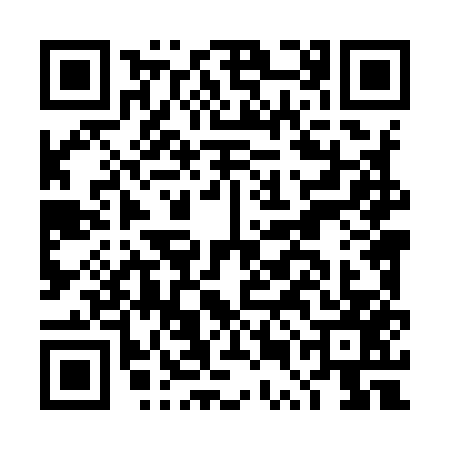 QR code for DUL9578