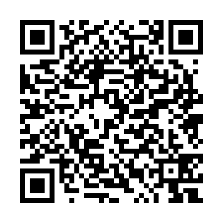 QR code for DUP2394