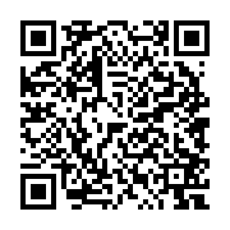 QR code for DUT2033