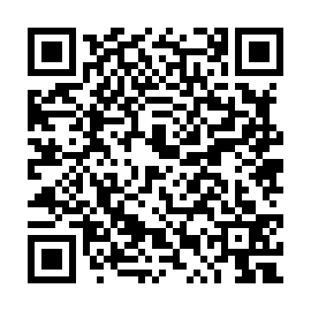 QR code for DUZ8333