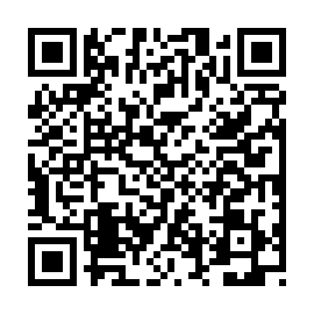 QR code for DVG4295