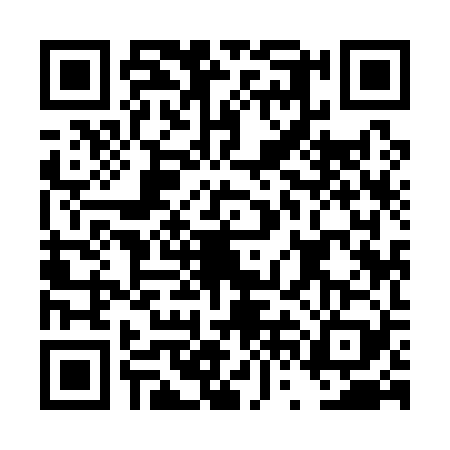 QR code for DVI1299