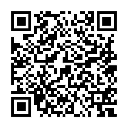 QR code for DVS9104