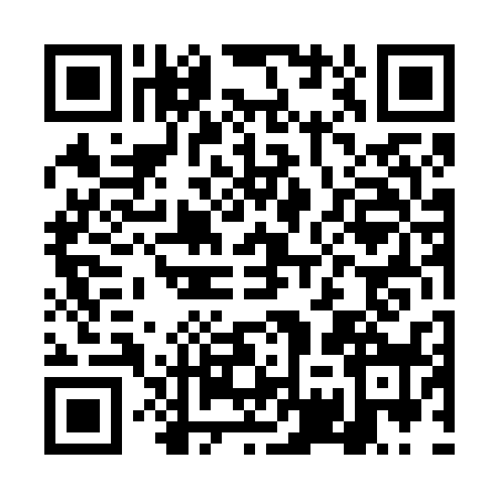 QR code for DWT6381