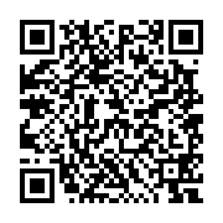 QR code for DXB0987