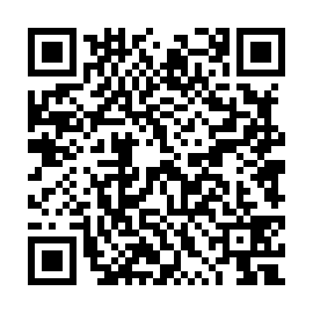 QR code for DXD8393