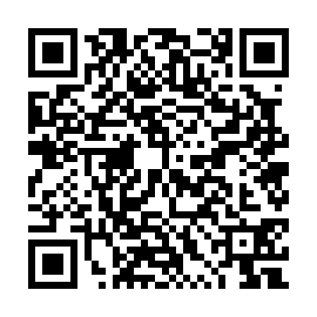 QR code for DXG0306