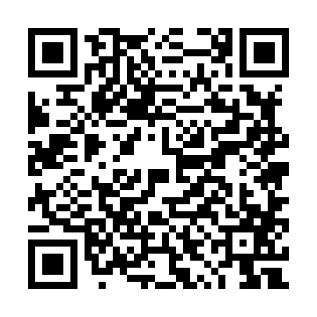 QR code for DYE8873