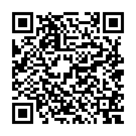 QR code for DYE9002