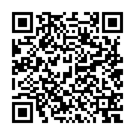 QR code for DYG9203