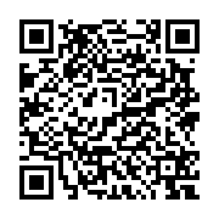 QR code for DYI0247